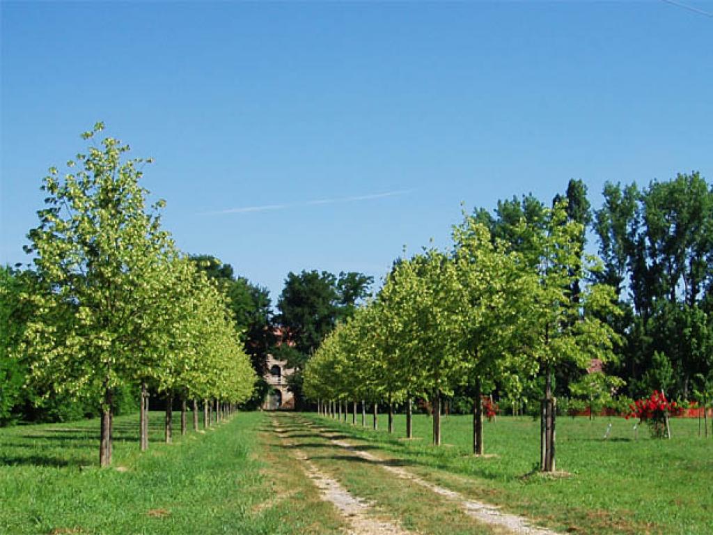 Villa Testa