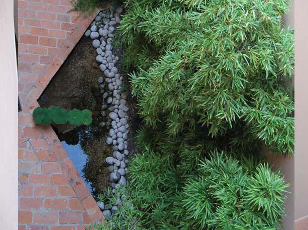 Cortile studio di architettura Argenta (FE)