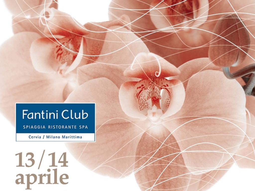 13-14 APRILE 2014