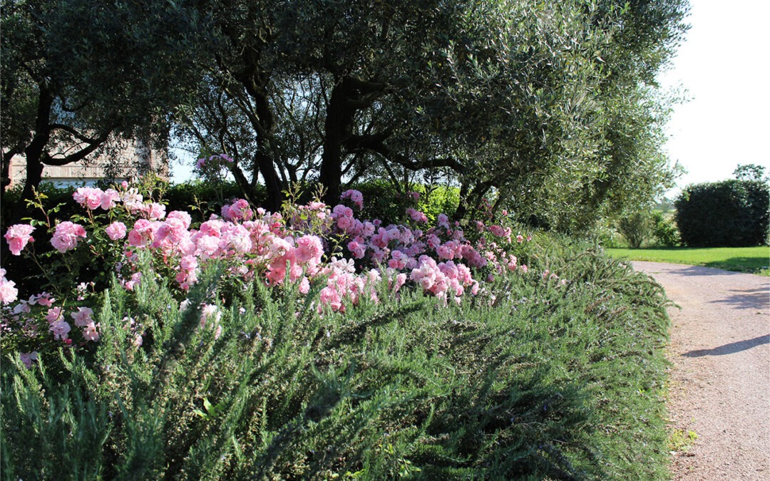 Giardino di campagna Ferrara