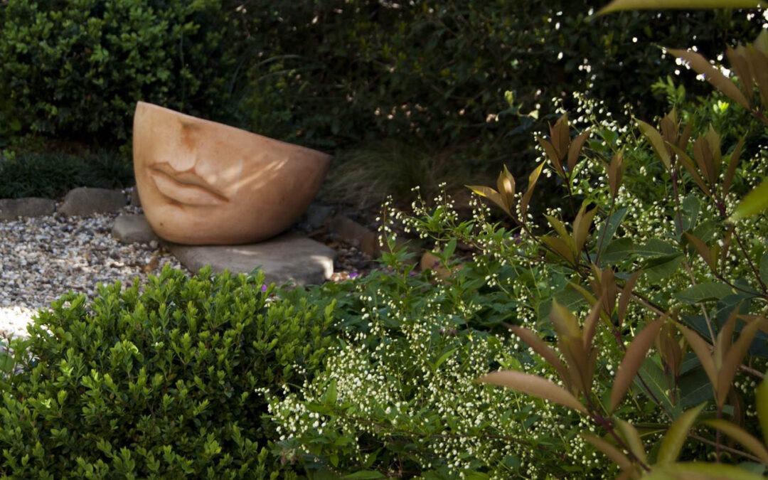 Il mio giardino di casa