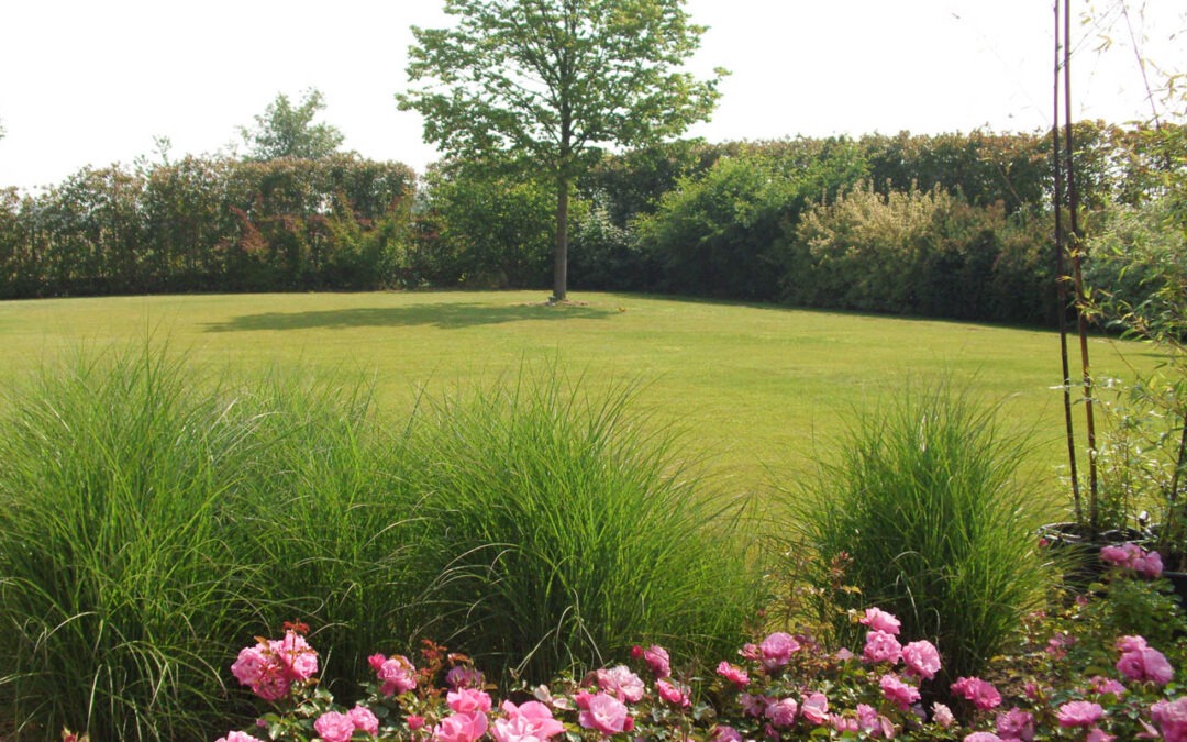 Giardino privato Rovigo