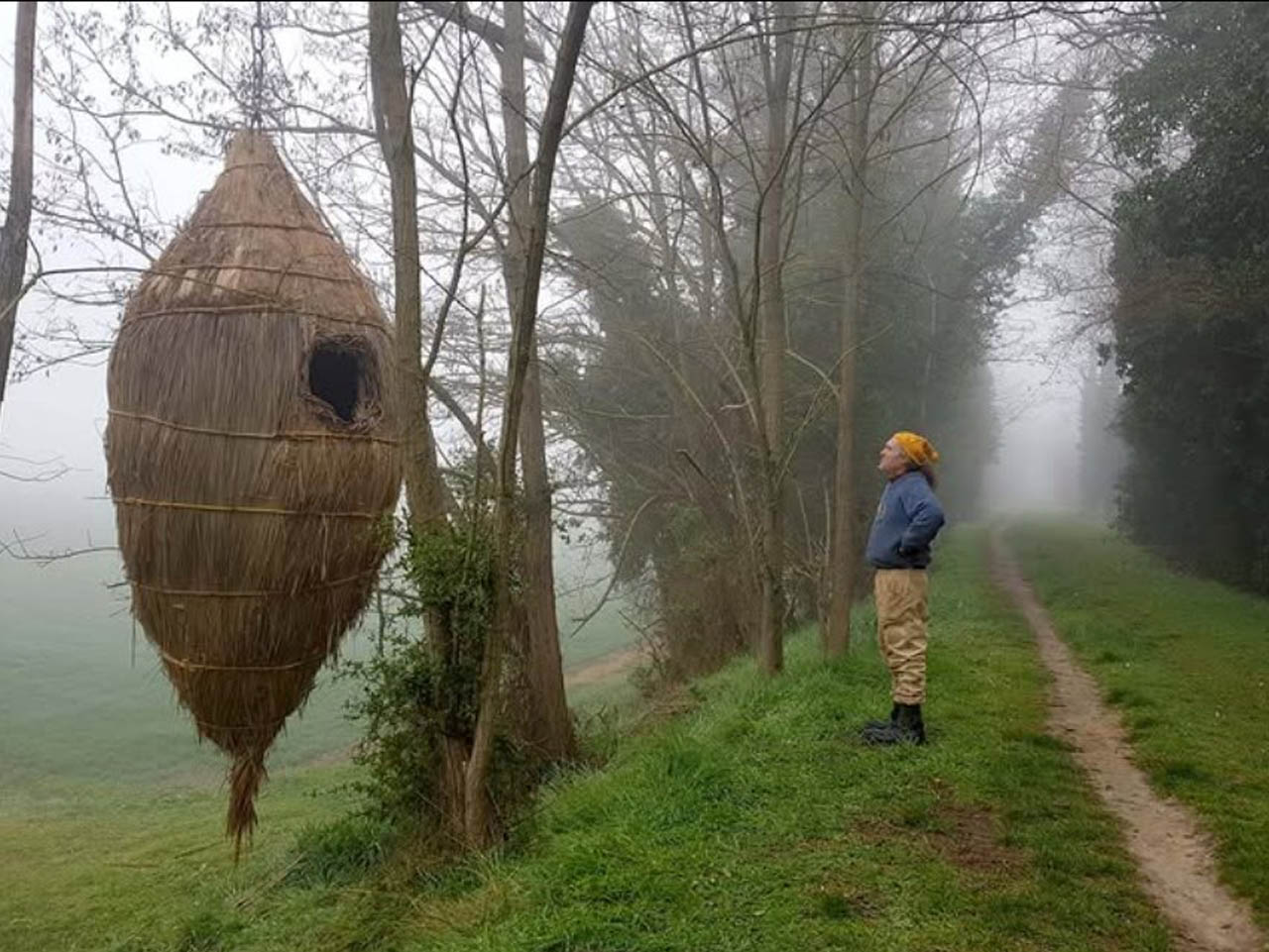 LandArtArgenta
