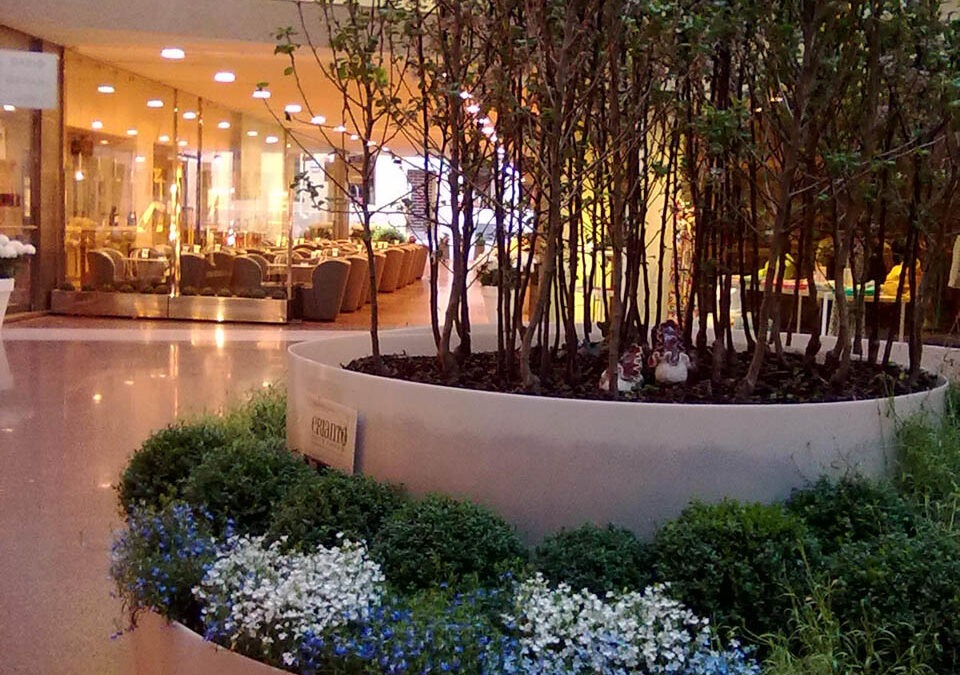 Galleria Cavour