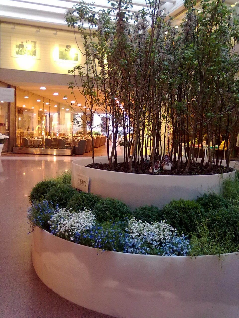 GalleriaCavour