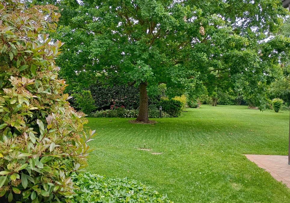 Giardino privato Modena
