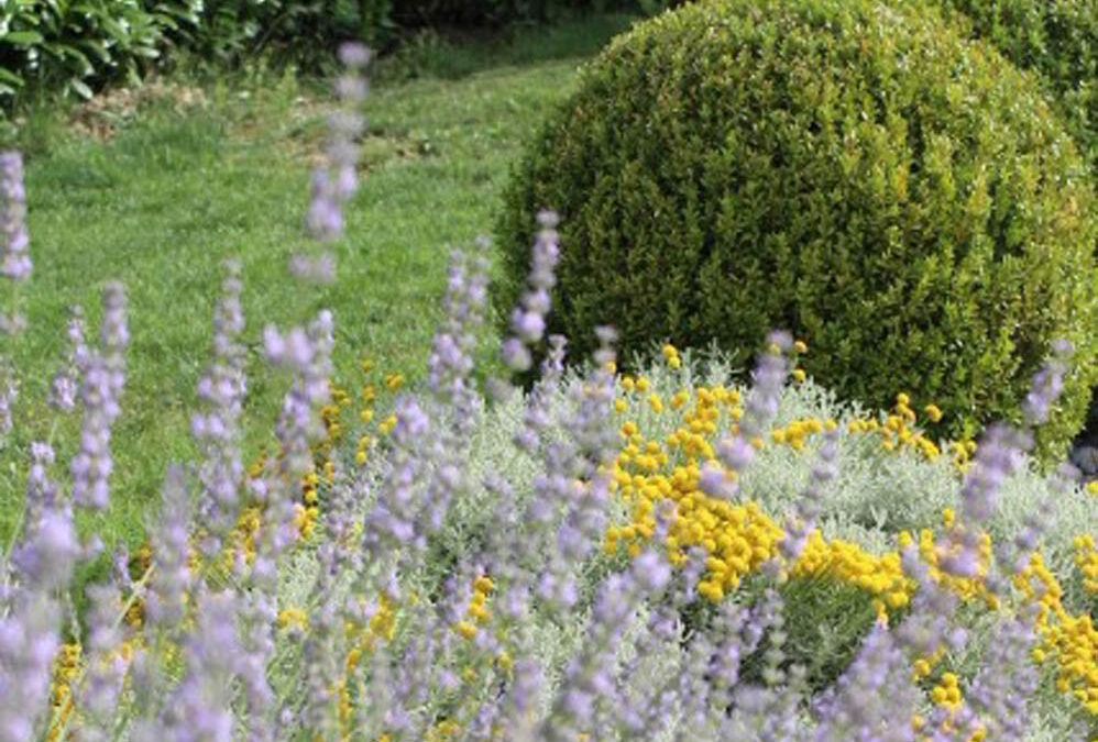 Giardino privato Bologna