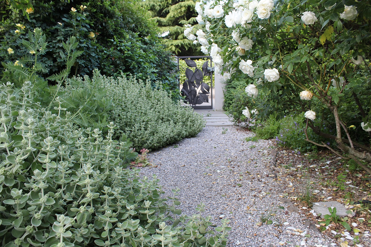 DryGarden