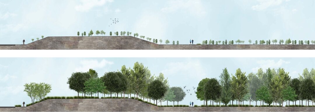 Riforestazione urbana Imola
