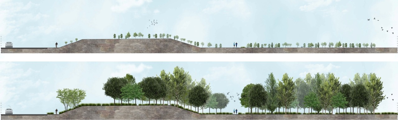 Riforestazione urbana Imola