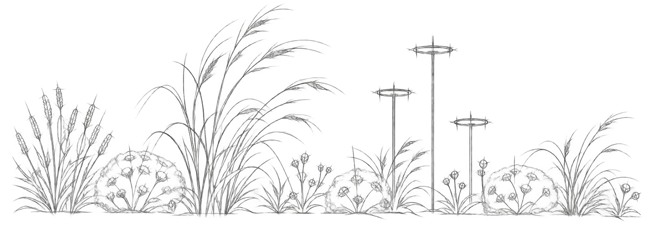 Img progettazione dry garden Img progettazione dry garden